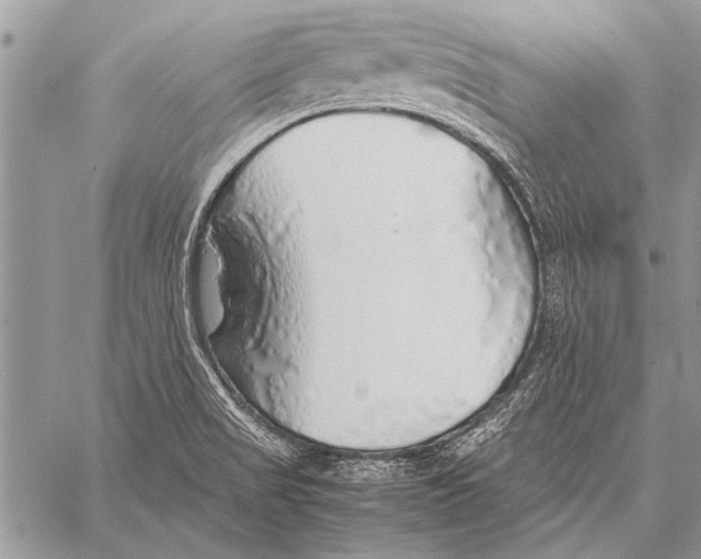 X0000058131517200510171323