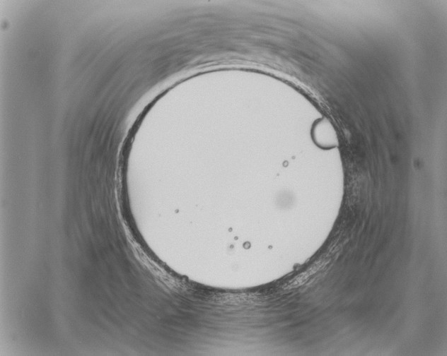 X0000058131518200510171323