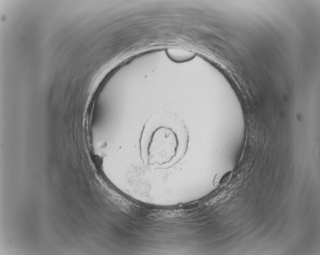 X0000058131519200510171323