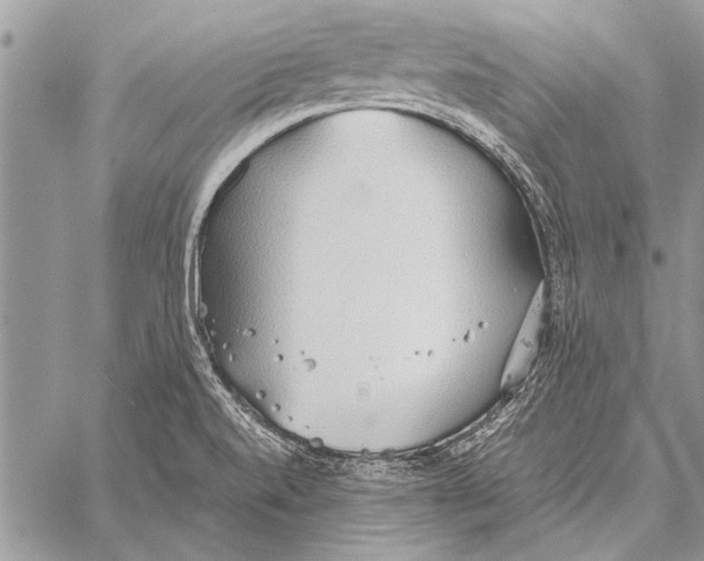 X0000058131520200510171323