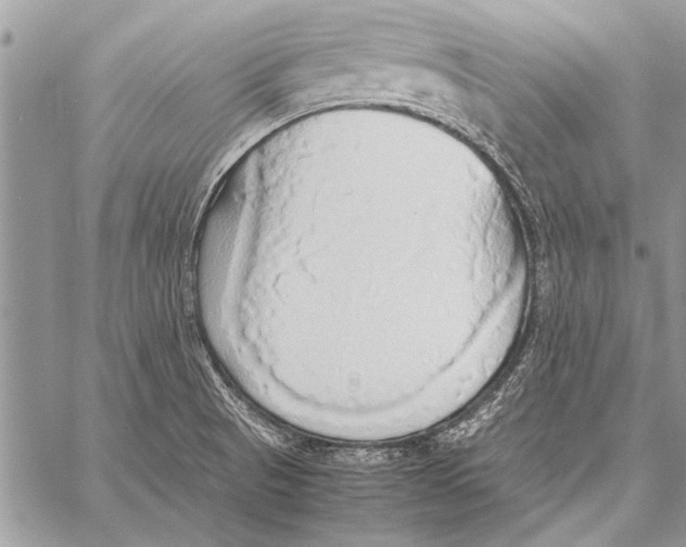 X0000058131521200510171323