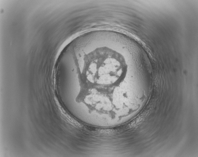 X0000058131522200510171323