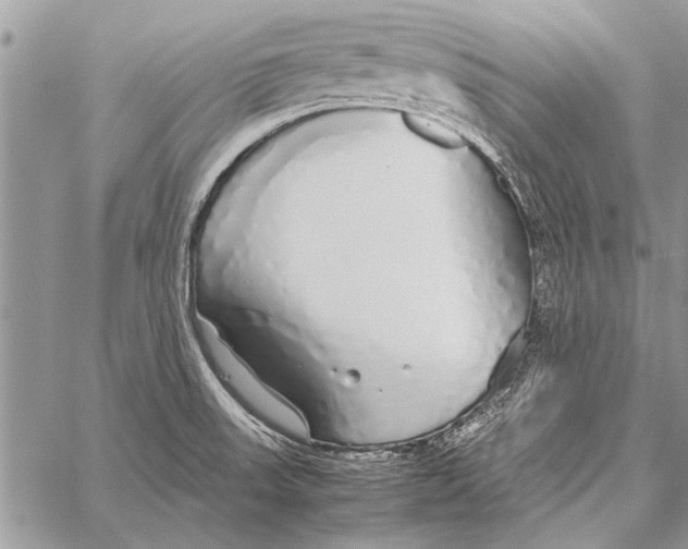 X0000058131523200510171323