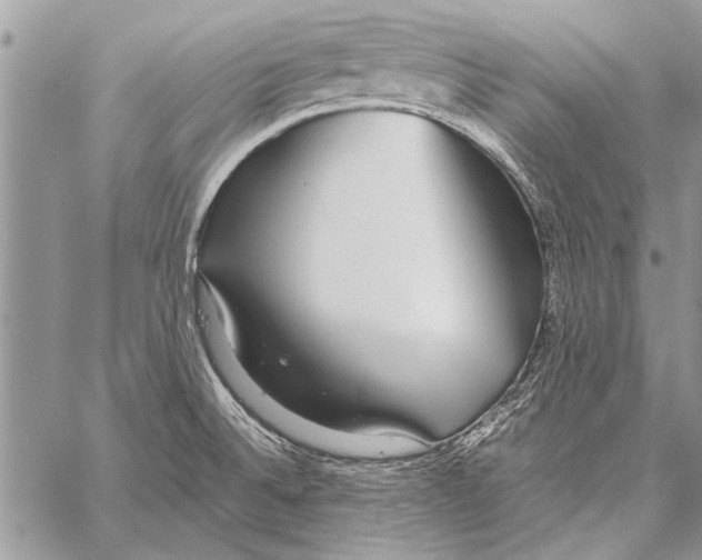 X0000058131524200510171323