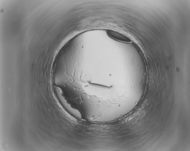 X0000058131525200510171323