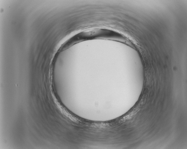 X0000058131526200510171323