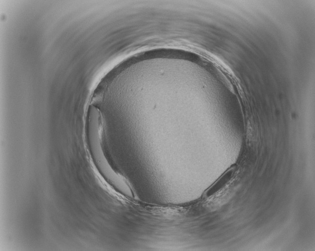 X0000058131528200510171323