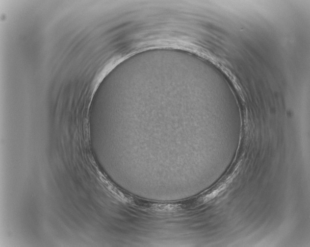 X0000058131529200510171323