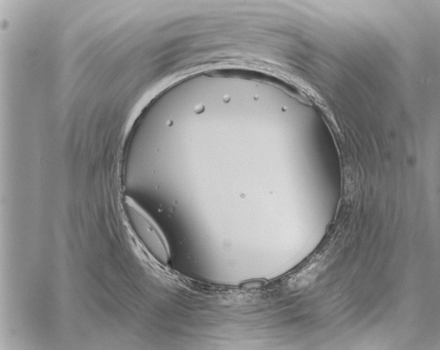 X0000058131530200510171323