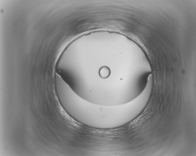 X0000058131532200510171323