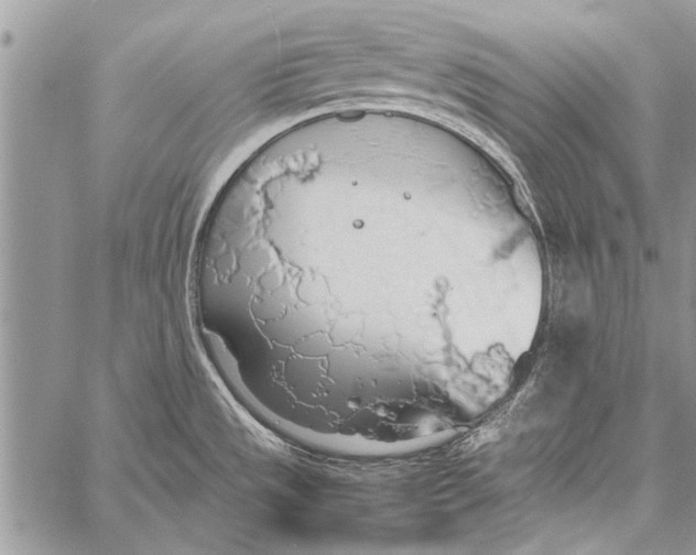 X0000058131533200510171323