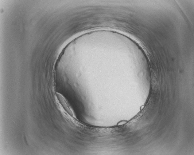 X0000058131534200510171323