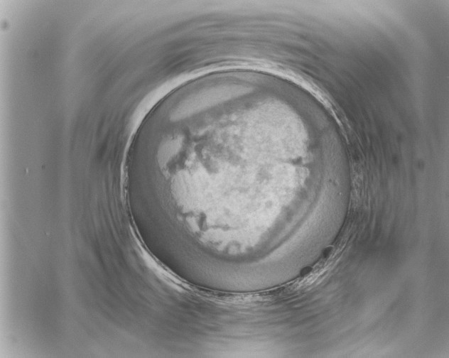 X0000058131535200510171323