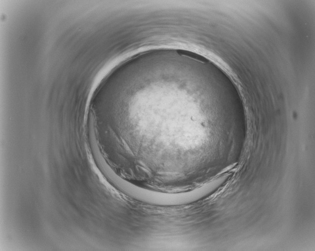 X0000058131536200510171323