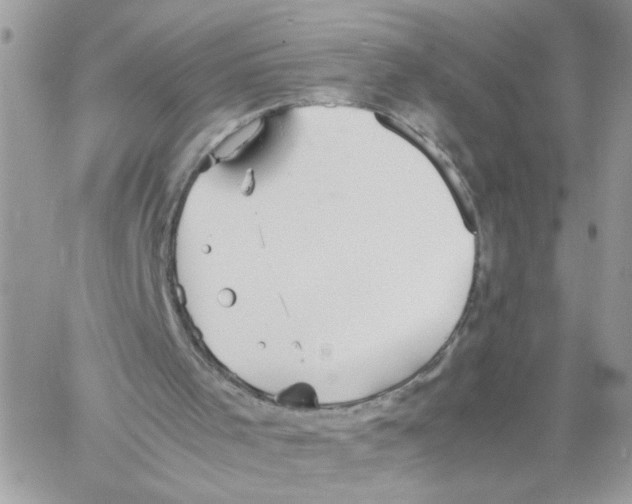 X0000058130001200510212057