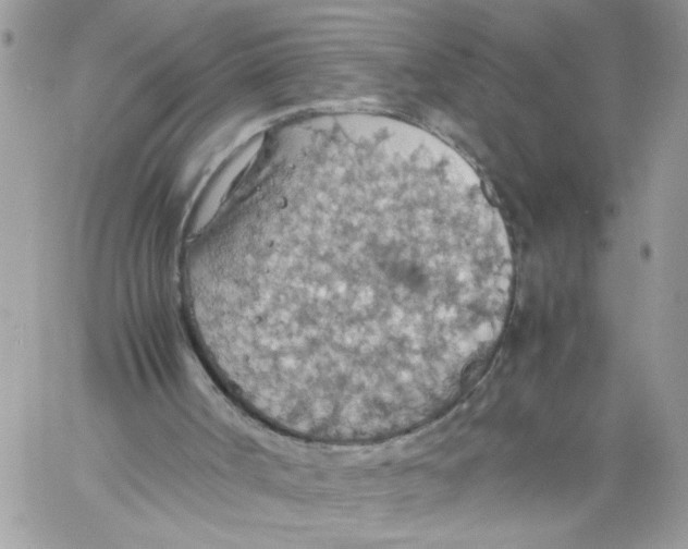 X0000058130002200510212057