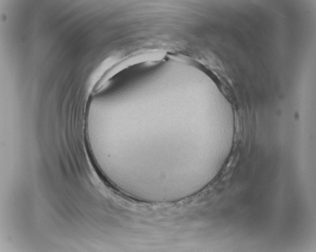 X0000058130003200510212057