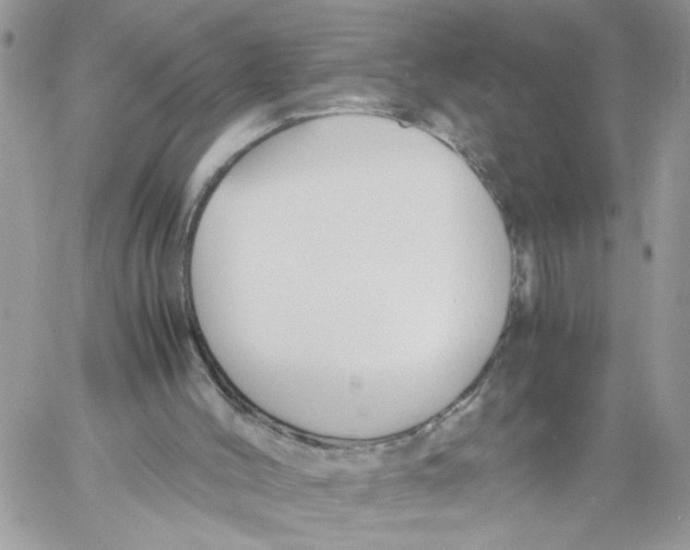 X0000058130004200510212057