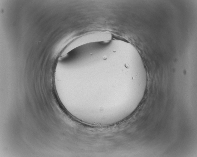 X0000058130005200510212057