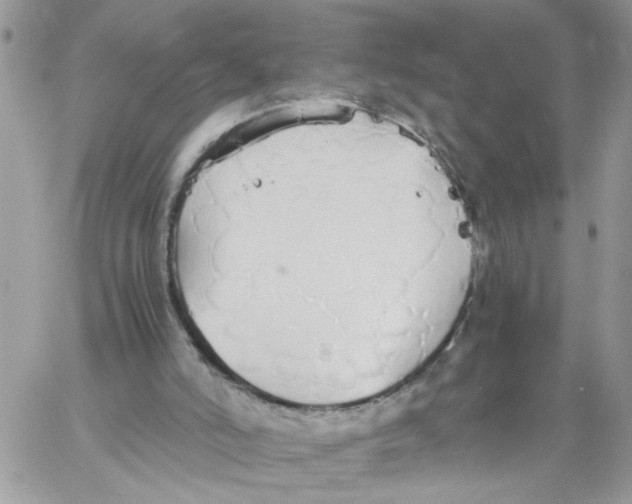 X0000058130006200510212057