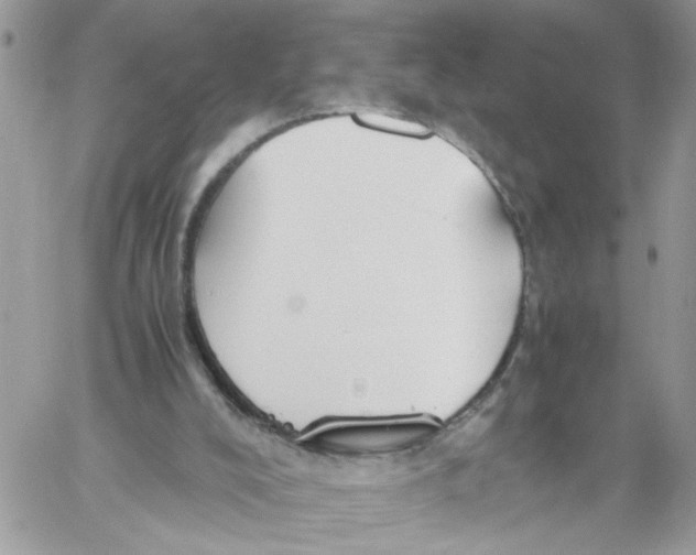 X0000058130008200510212057