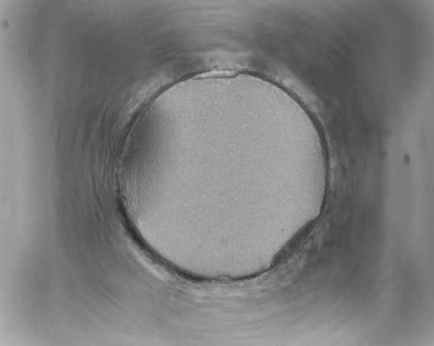 X0000058130009200510212057