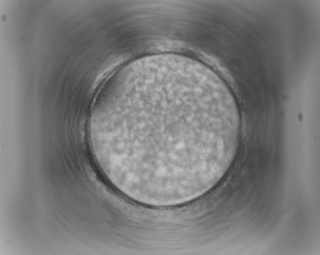 X0000058130010200510212057