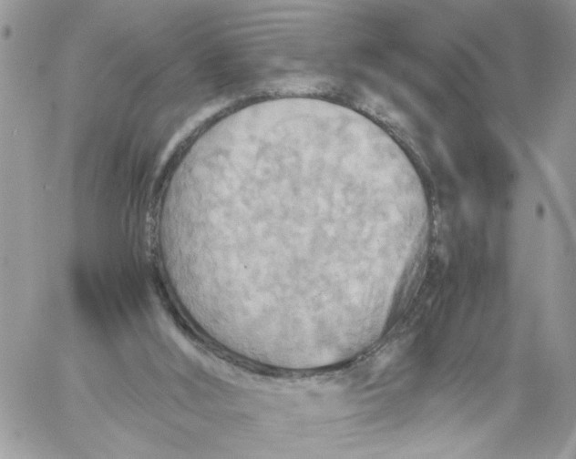 X0000058130012200510212057