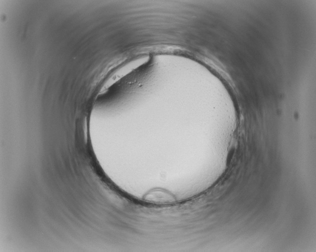 X0000058130013200510212057