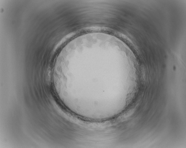 X0000058130016200510212057