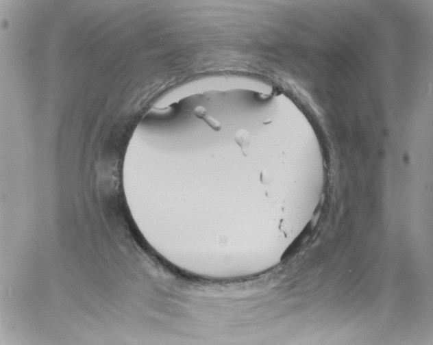 X0000058130017200510212057