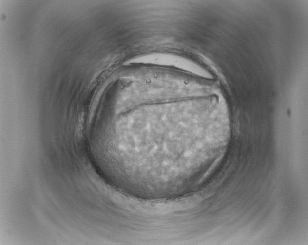 X0000058130018200510212057