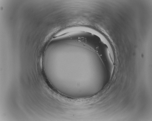 X0000058130019200510212057