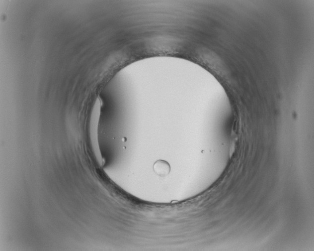 X0000058130021200510212057