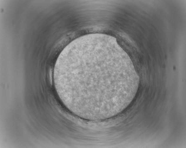 X0000058130022200510212057