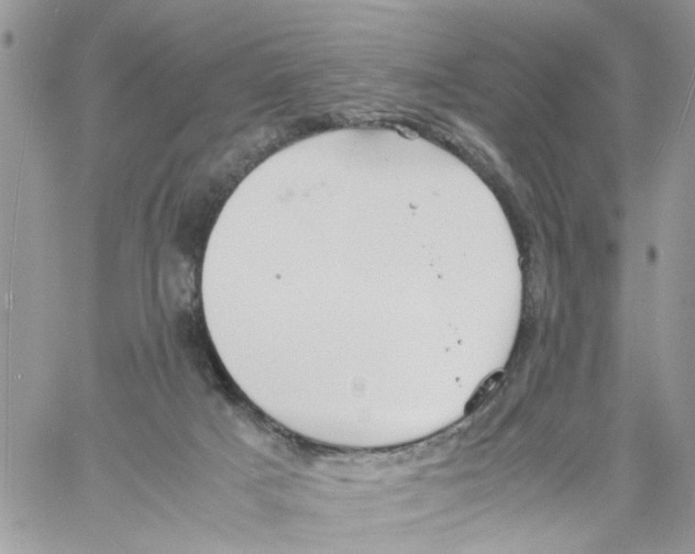 X0000058130025200510212057