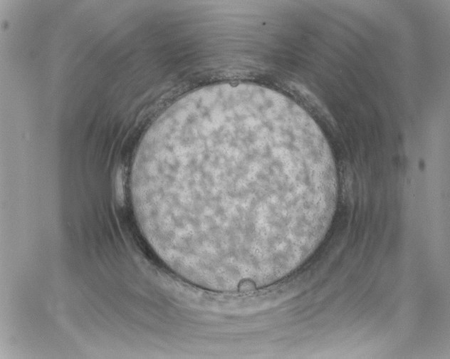 X0000058130026200510212057