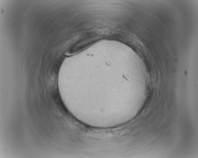 X0000058130029200510212057