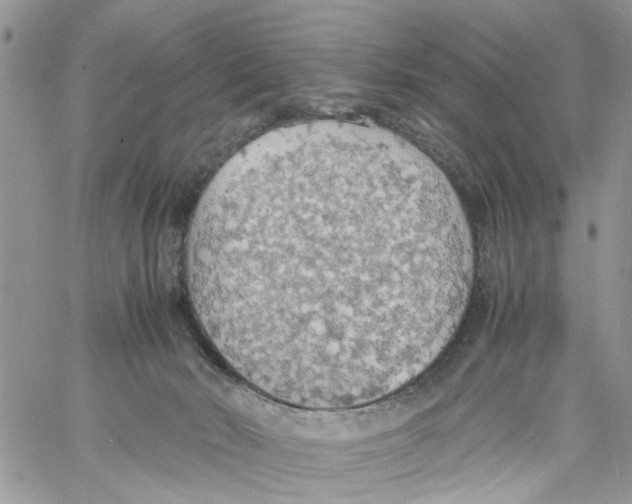 X0000058130030200510212057