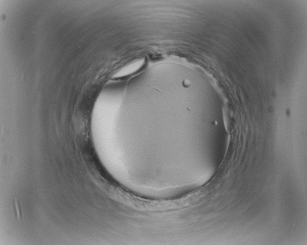 X0000058130031200510212057