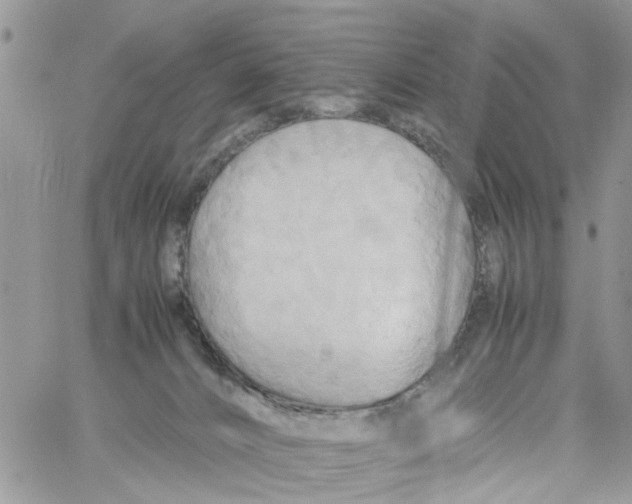 X0000058130032200510212057