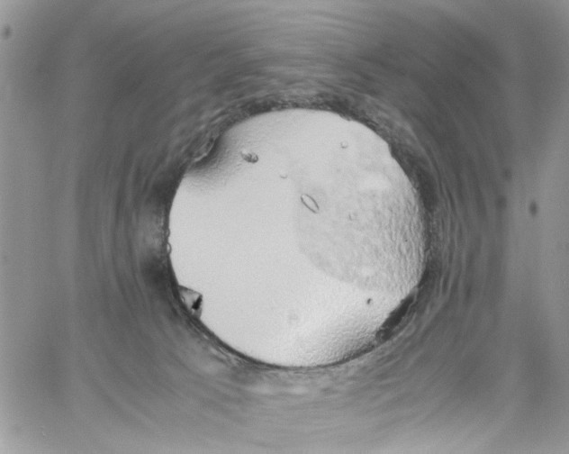 X0000058130033200510212057