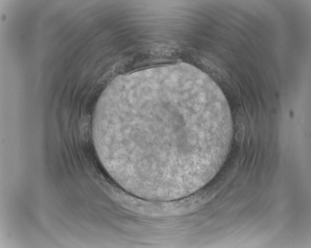 X0000058130034200510212057