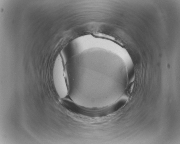 X0000058130035200510212057