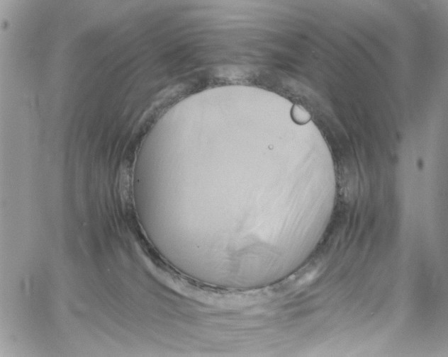 X0000058130036200510212057