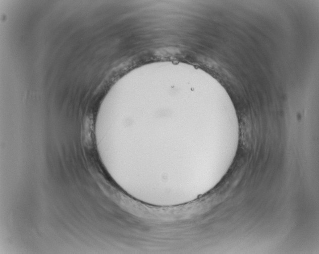 X0000058130038200510212057