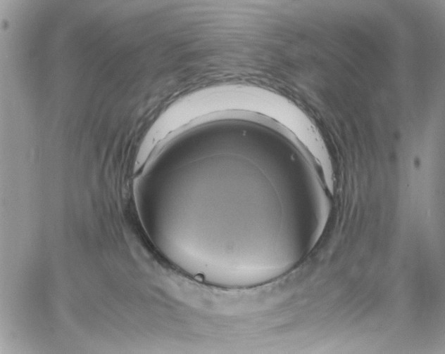 X0000058130039200510212057