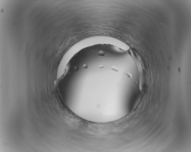 X0000058130041200510212057