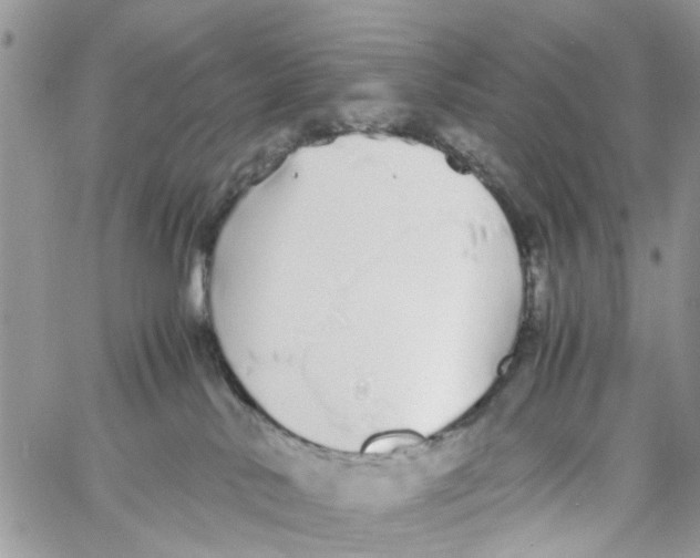 X0000058130042200510212057