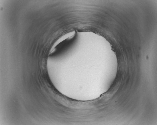 X0000058130044200510212056